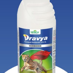 Dravya