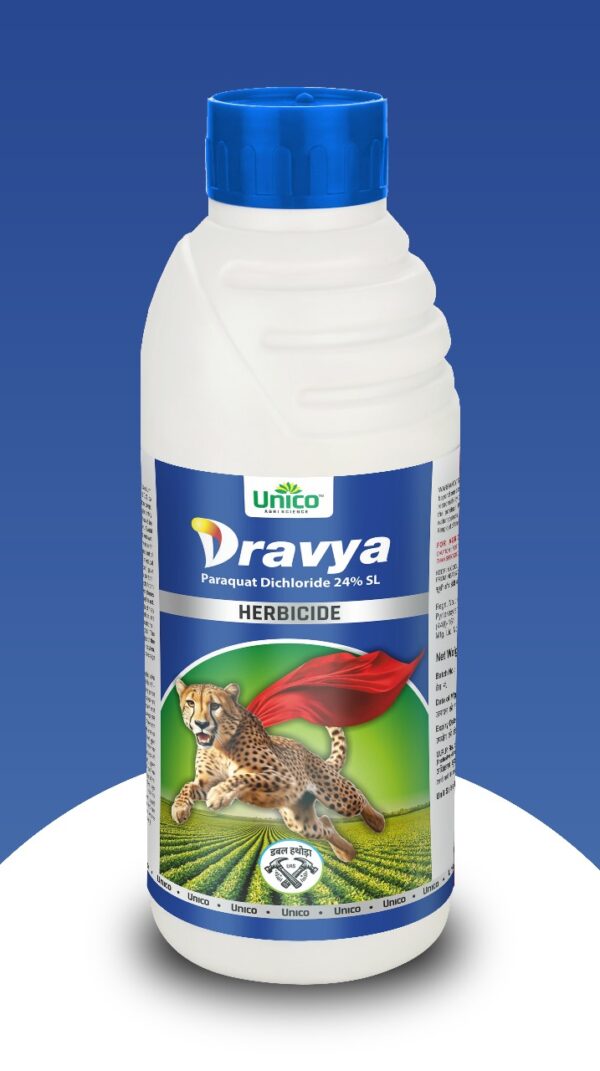Dravya