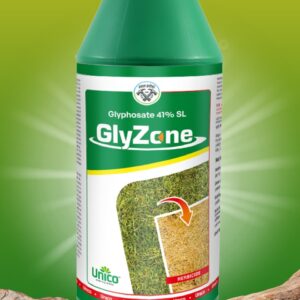 GlyZone